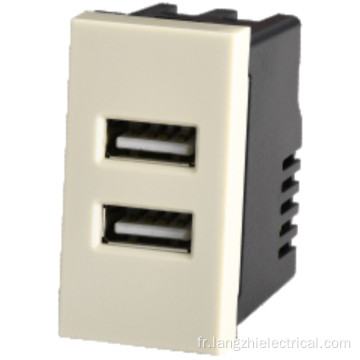 Prise USB à 2 ports 2.1a 5V (110-240V ~)